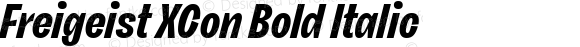 Freigeist XCon Bold Italic