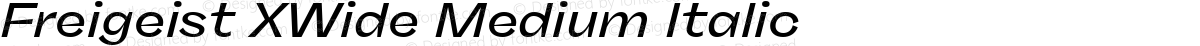 Freigeist XWide Medium Italic
