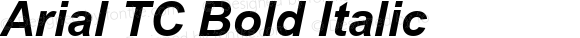 Arial TC Bold Italic MS core font:v1.00