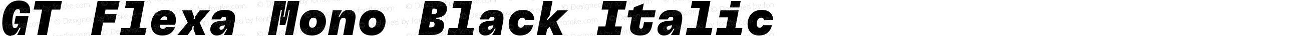 GT Flexa Mono Black Italic