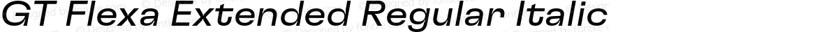 GT Flexa Extended Regular Italic