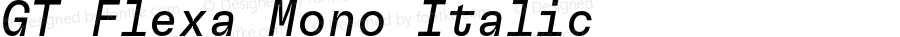 GT Flexa Mono Italic