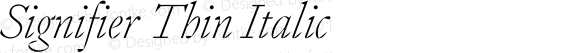 Signifier Thin Italic
