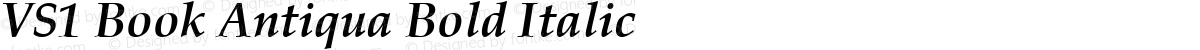 VS1 Book Antiqua Bold Italic