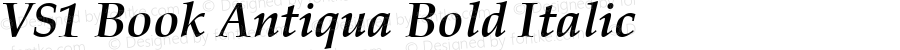 VS1 Book Antiqua Bold Italic