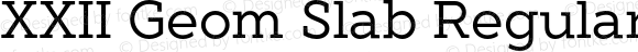 XXII Geom Slab Regular