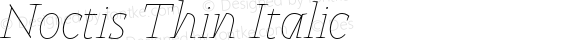 Noctis Thin Italic