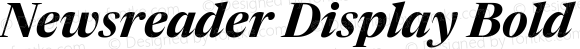 Newsreader Display Bold Italic