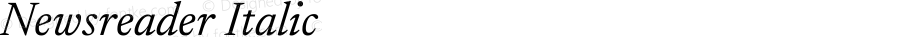 Newsreader Text Italic