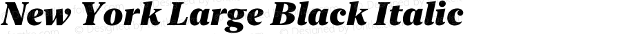 New York Large Black Italic