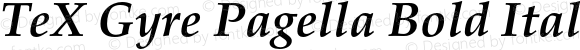 TeX Gyre Pagella Bold Italic