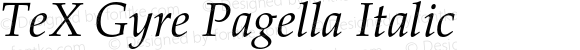 TeX Gyre Pagella Italic