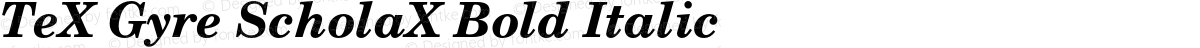 TeX Gyre ScholaX Bold Italic