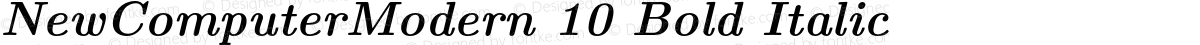 NewComputerModern 10 Bold Italic