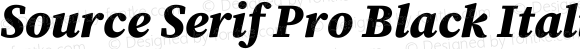 Source Serif Pro Black Italic
