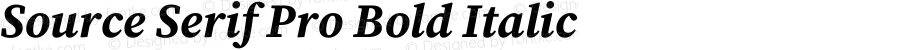 Source Serif Pro Bold Italic