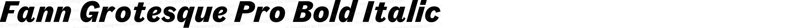 Fann Grotesque Pro Bold Italic