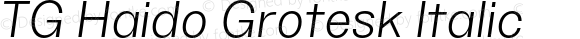 TG Haido Grotesk Italic