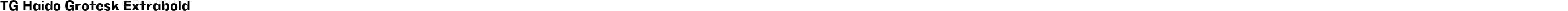 TG Haido Grotesk Extrabold