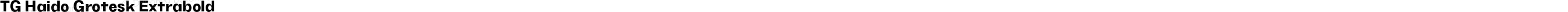 TG Haido Grotesk Extrabold