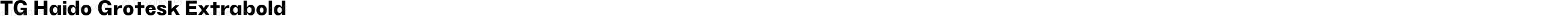 TG Haido Grotesk Extrabold