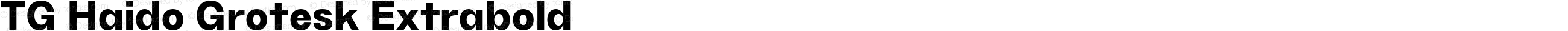 TG Haido Grotesk Extrabold