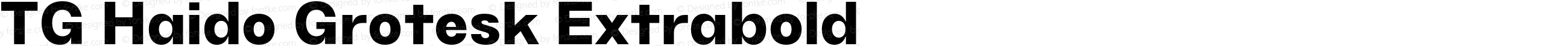 TG Haido Grotesk Extrabold
