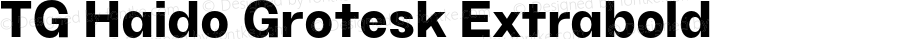 TG Haido Grotesk Extrabold