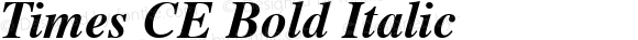 Times CE Bold Italic