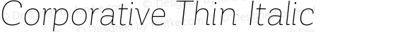 Corporative Thin Italic