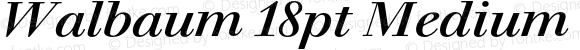 Walbaum 18pt Medium Italic