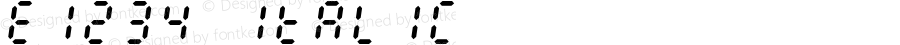 E1234 Italic