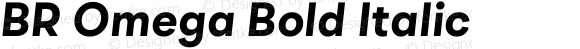 BR Omega Bold Italic
