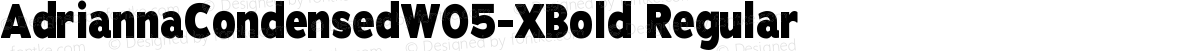 AdriannaCondensedW05-XBold Regular