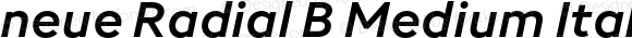 neue Radial B Medium Italic