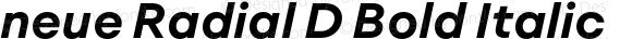 neue Radial D Bold Italic