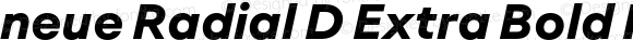 neue Radial D Extra Bold Italic