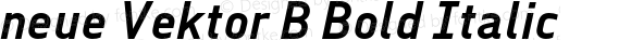 neue Vektor B Bold Italic