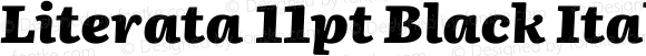 Literata 11pt Black Italic