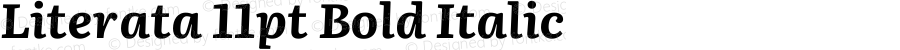 Literata 11pt Bold Italic Version 3.002