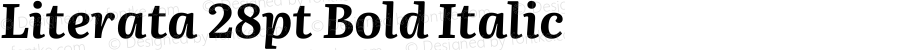 Literata 28pt Bold Italic