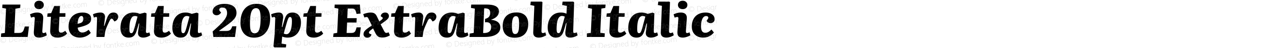 Literata 20pt ExtraBold Italic