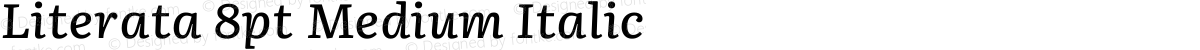 Literata 8pt Medium Italic