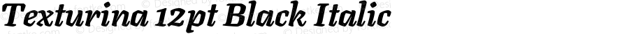 Texturina 12pt Black Italic