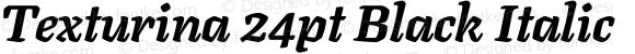 Texturina 24pt Black Italic