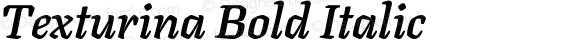 Texturina Bold Italic