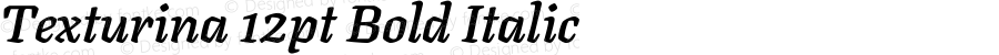 Texturina 12pt Bold Italic