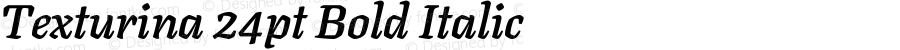 Texturina 24pt Bold Italic