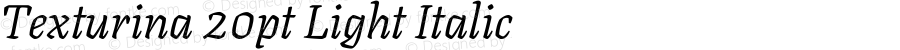 Texturina 20pt Light Italic