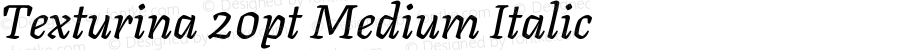 Texturina 20pt Medium Italic